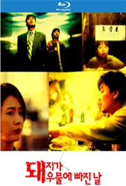 《猪堕井的那天》影评：黑色幽默下的韩国社会切片，一场荒诞又真实的闹剧！