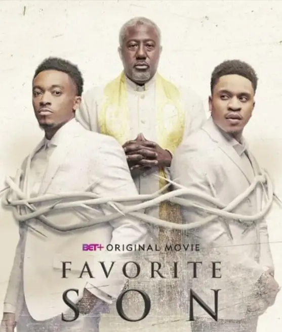 《政坛宠儿》：权力博弈的残酷游戏，欲望与野心的迷局，看主角如何步步为营！